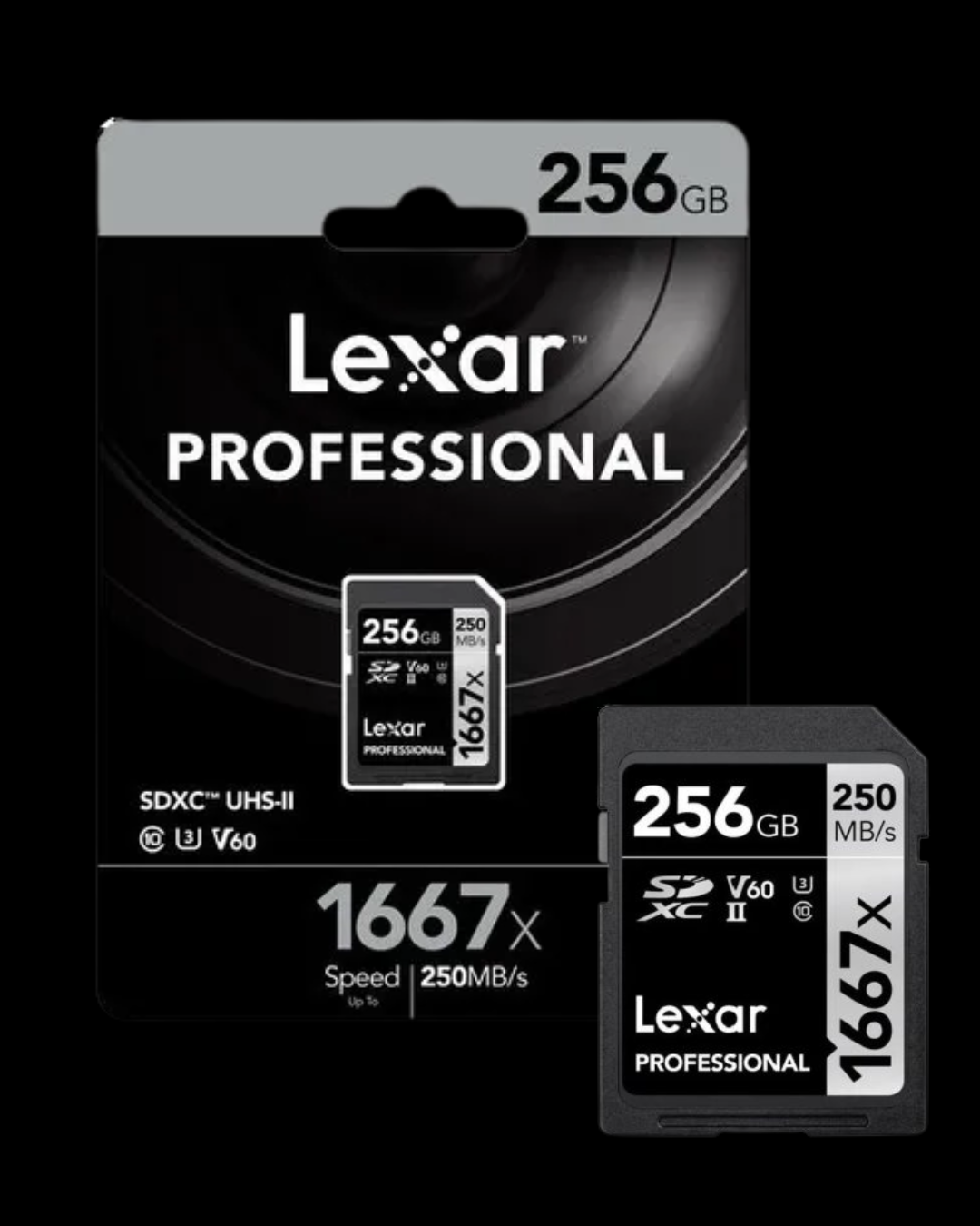 SD PROFESSIONAL LEXAR 1667X 250MB/SG 256GB